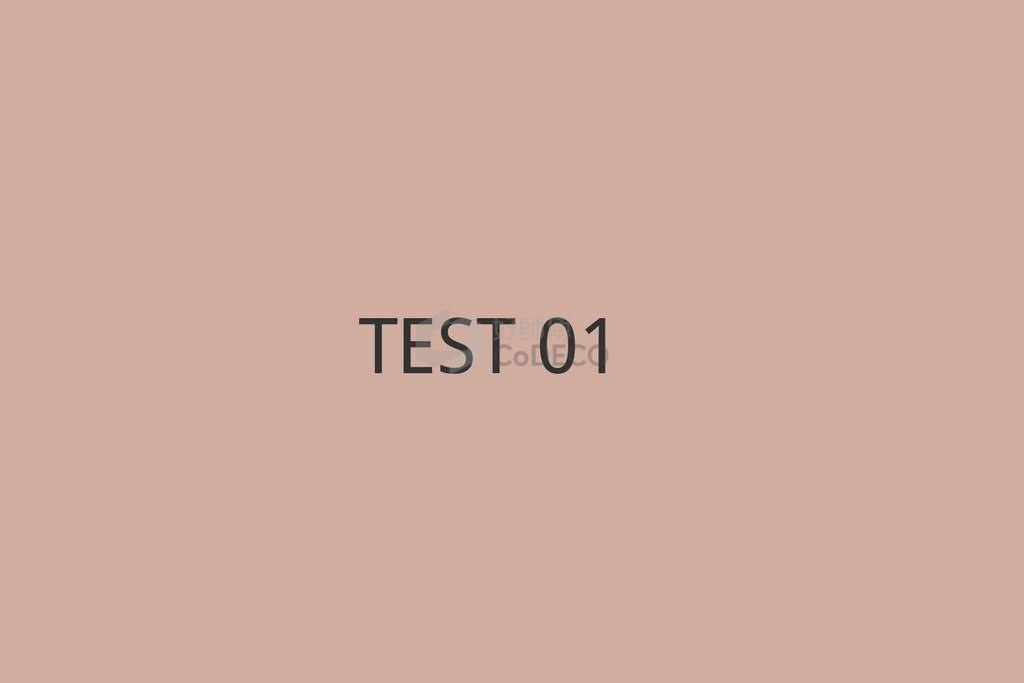 TEST 01