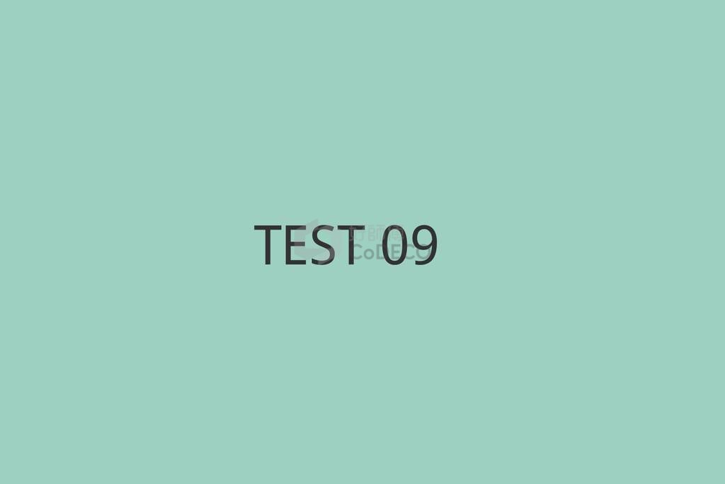 TEST 09