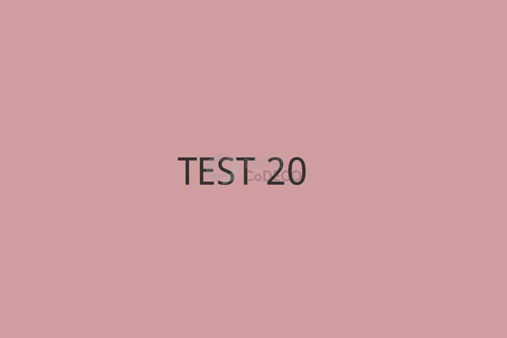 TEST 20