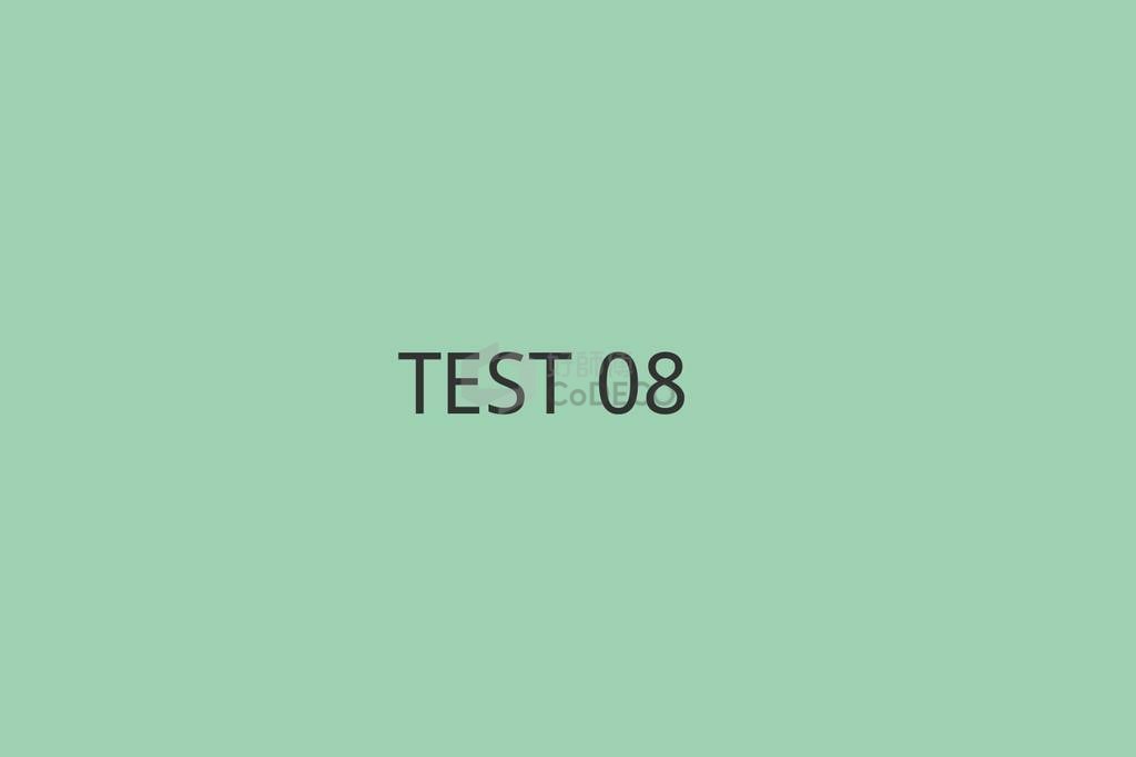 TEST 08