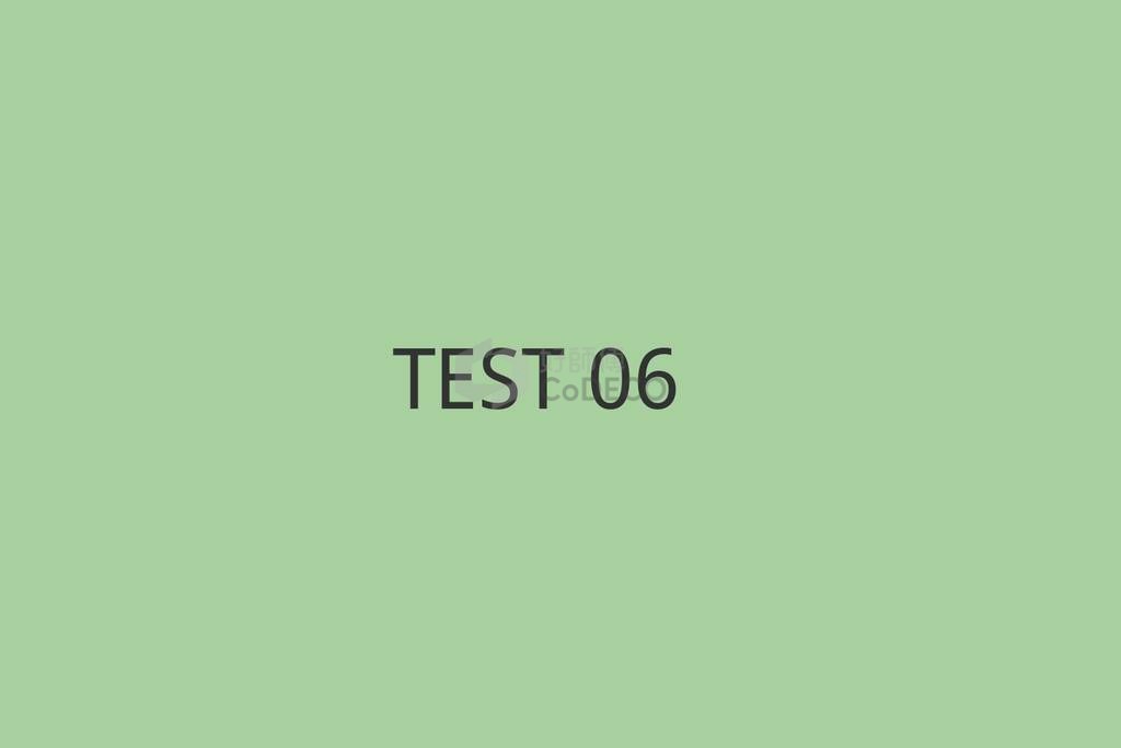 TEST 06