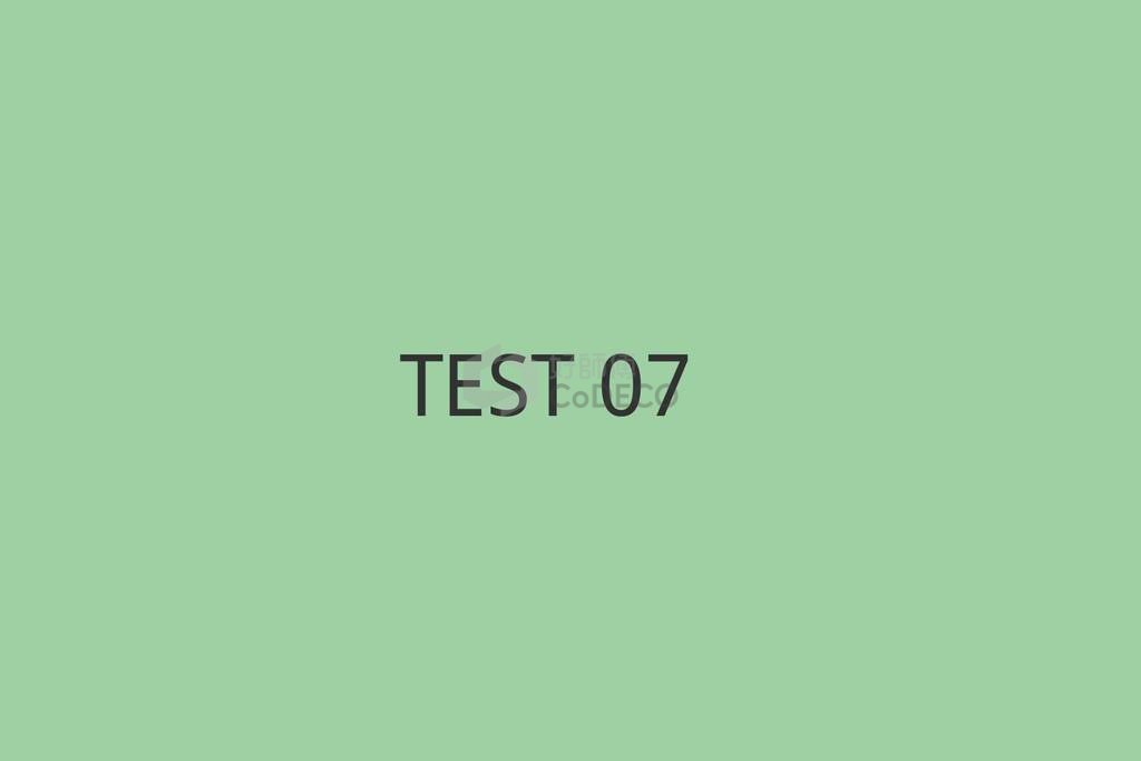 TEST 07
