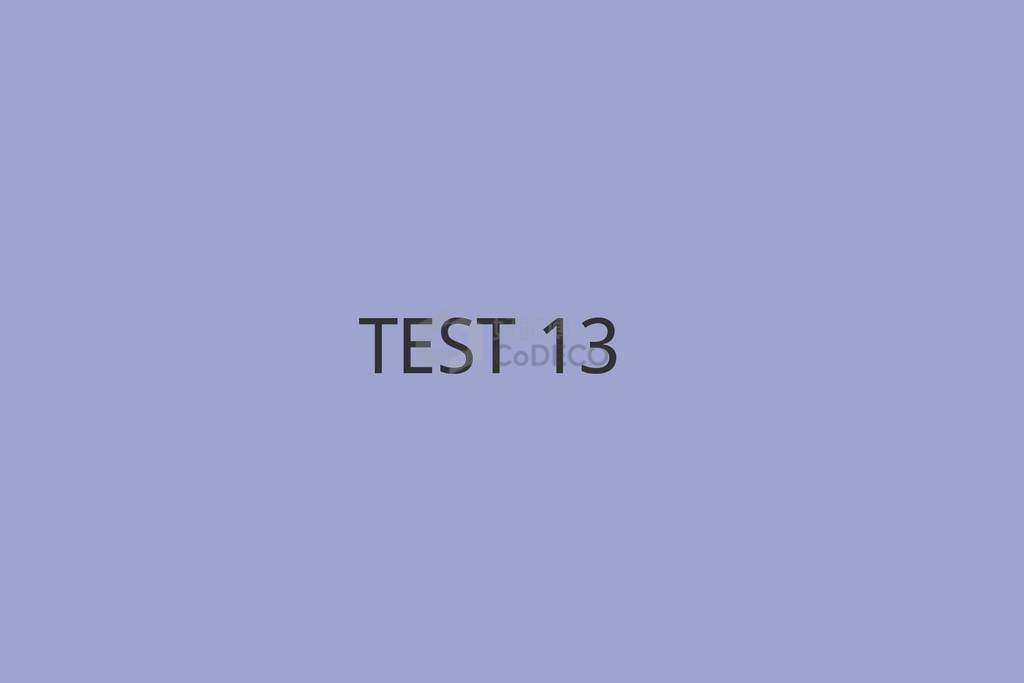 TEST 13