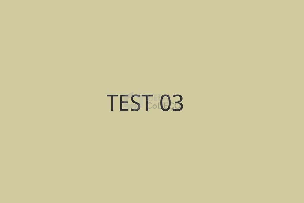 TEST 03