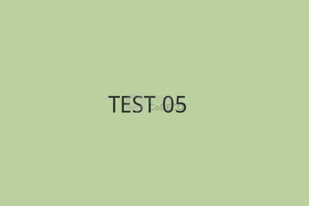 TEST 05