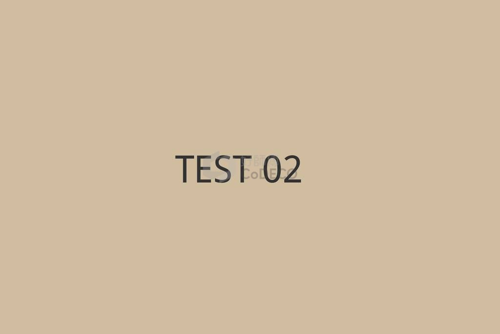 TEST 02