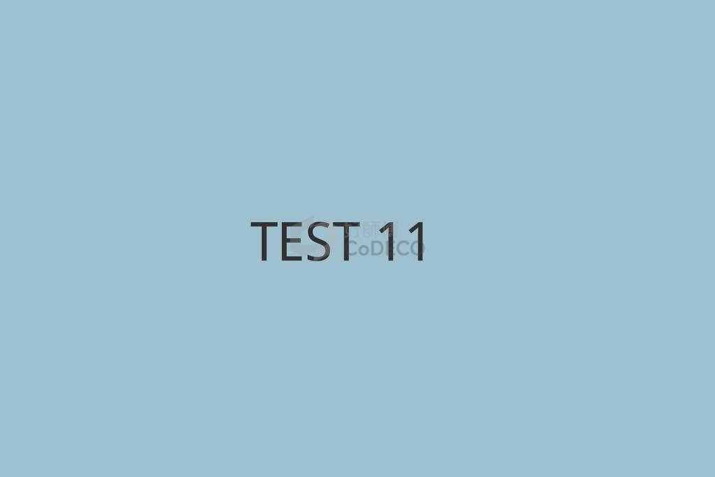 TEST 11