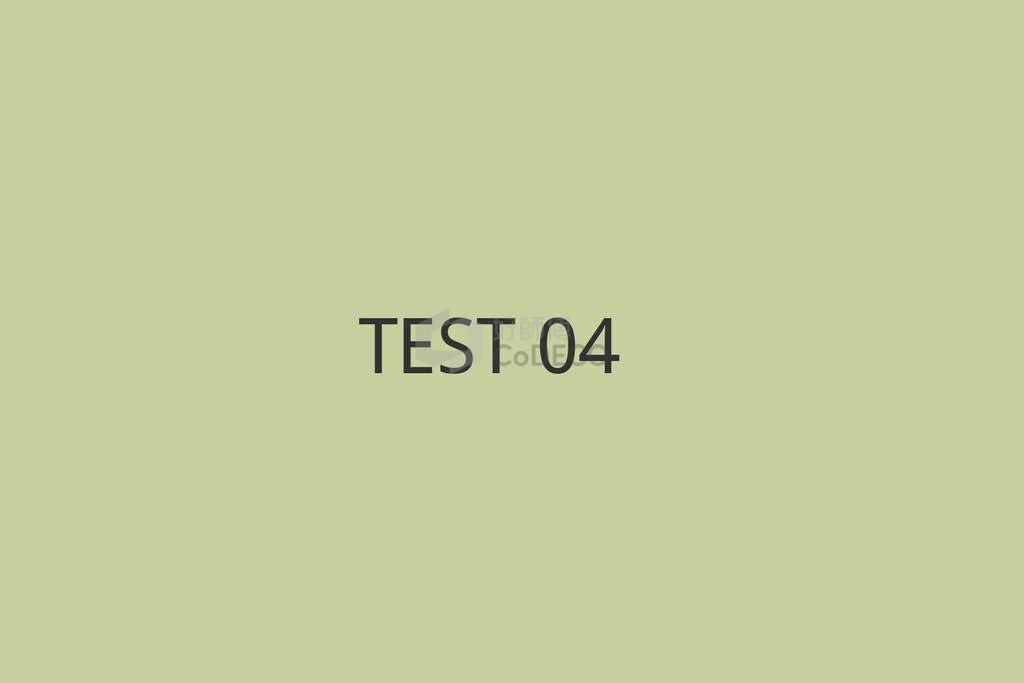 TEST 04