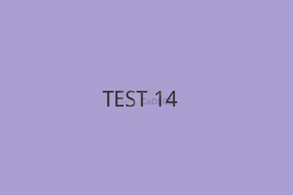 TEST 14