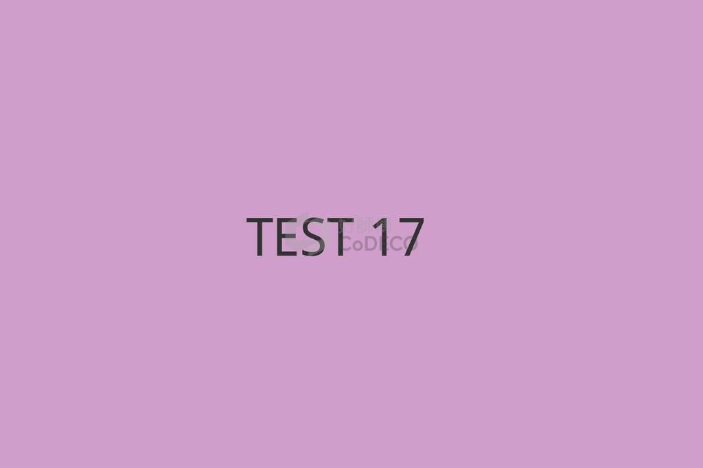 TEST 17